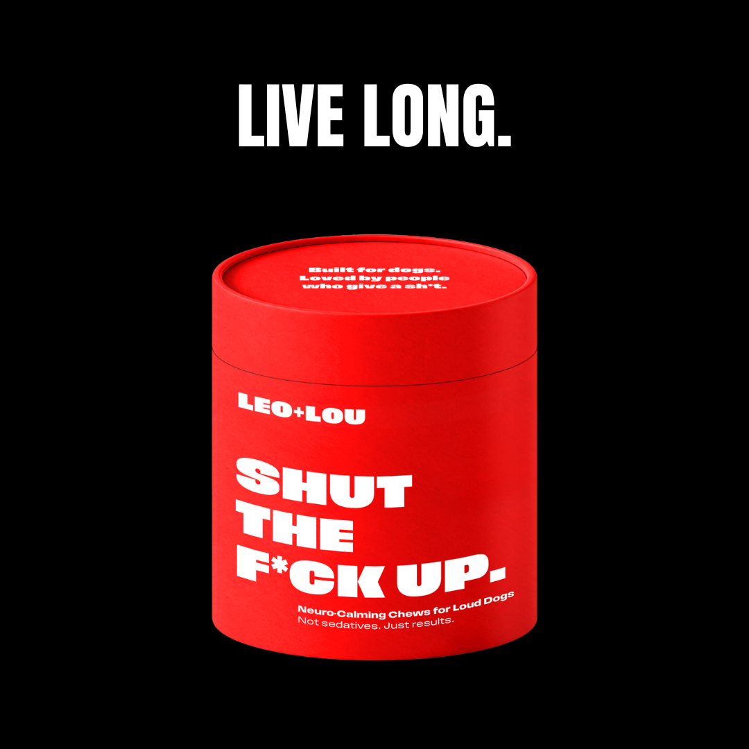 SHUT THE F*CK UP
